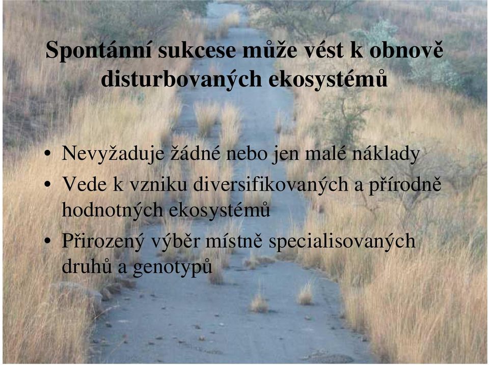 k vzniku diversifikovaných a přírodně hodnotných