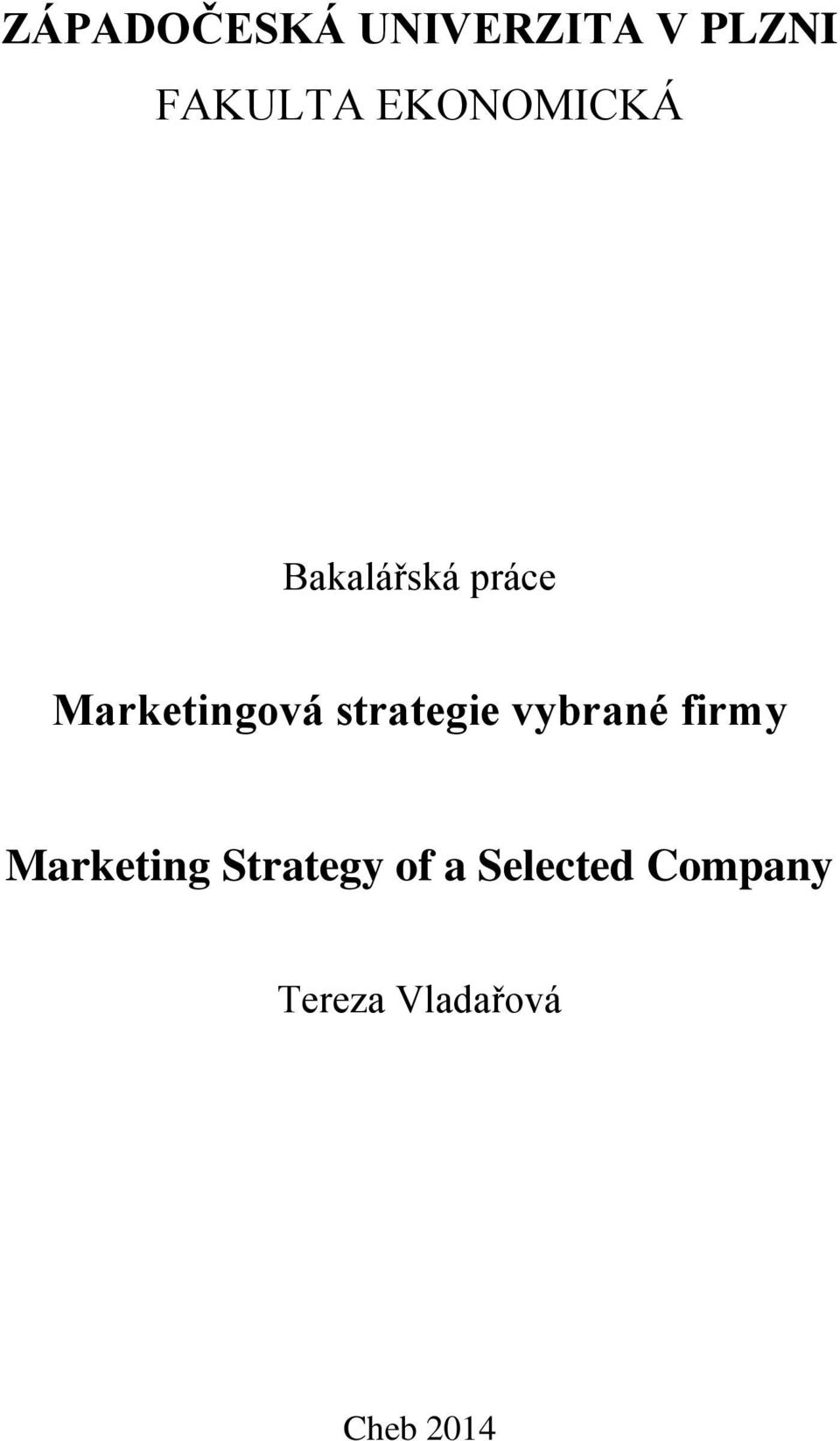 strategie vybrané firmy Marketing Strategy