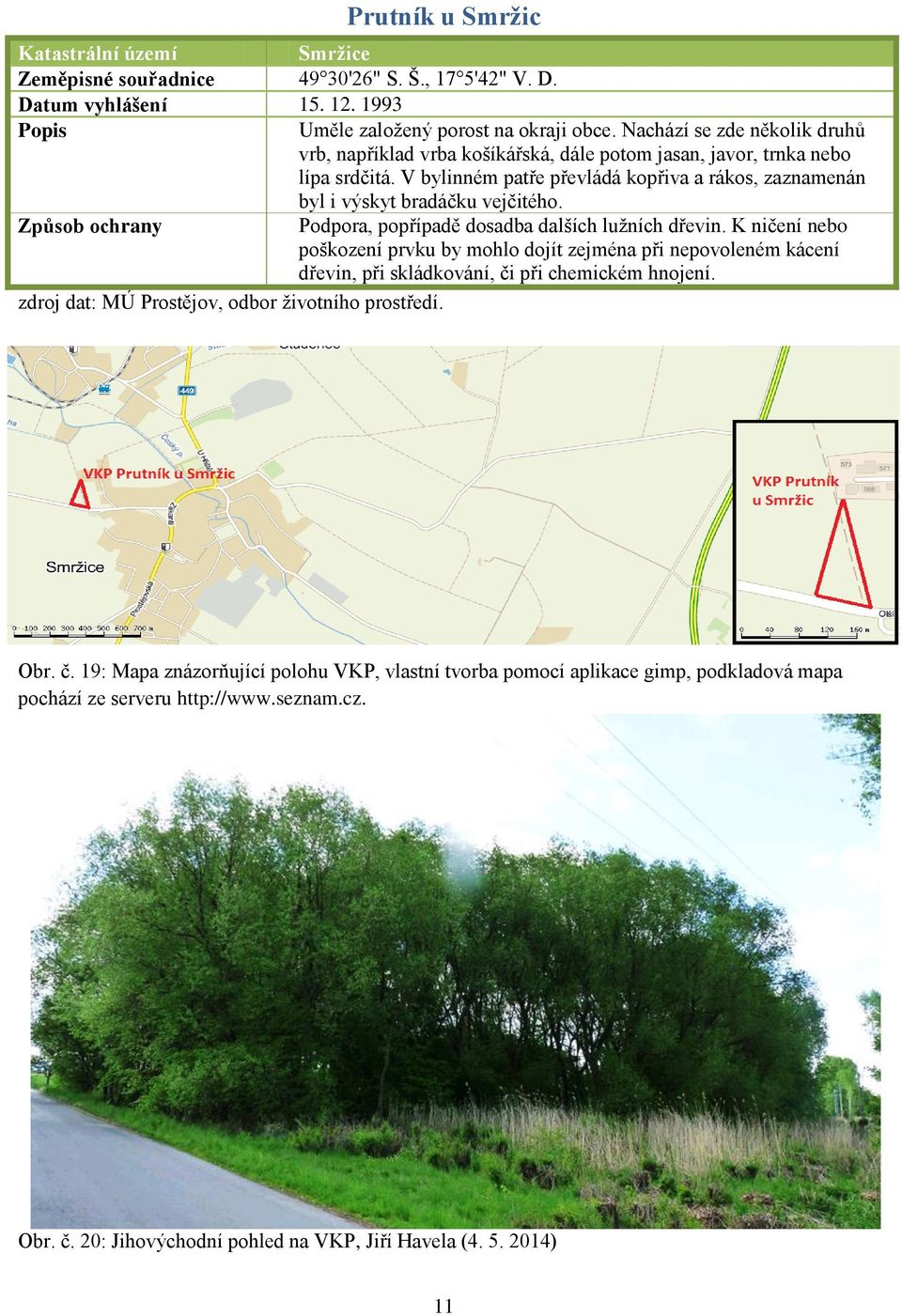 V bylinném patře převládá kopřiva a rákos, zaznamenán byl i výskyt bradáčku vejčitého. Podpora, popřípadě dosadba dalších lužních dřevin.