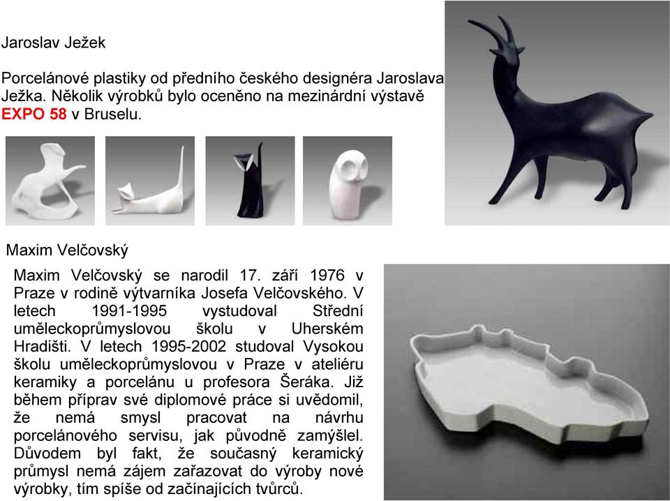 V letech 1991-1995 vystudoval Střední uměleckoprůmyslovou školu v Uherském Hradišti.