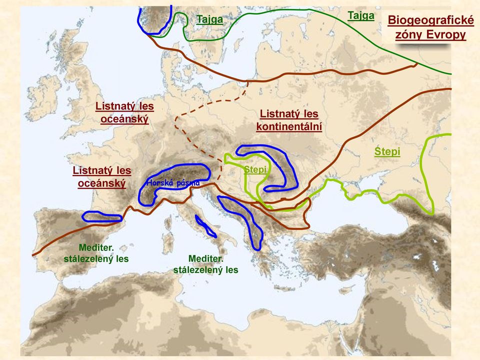 kontinentální Listnatý les oceánský Horská