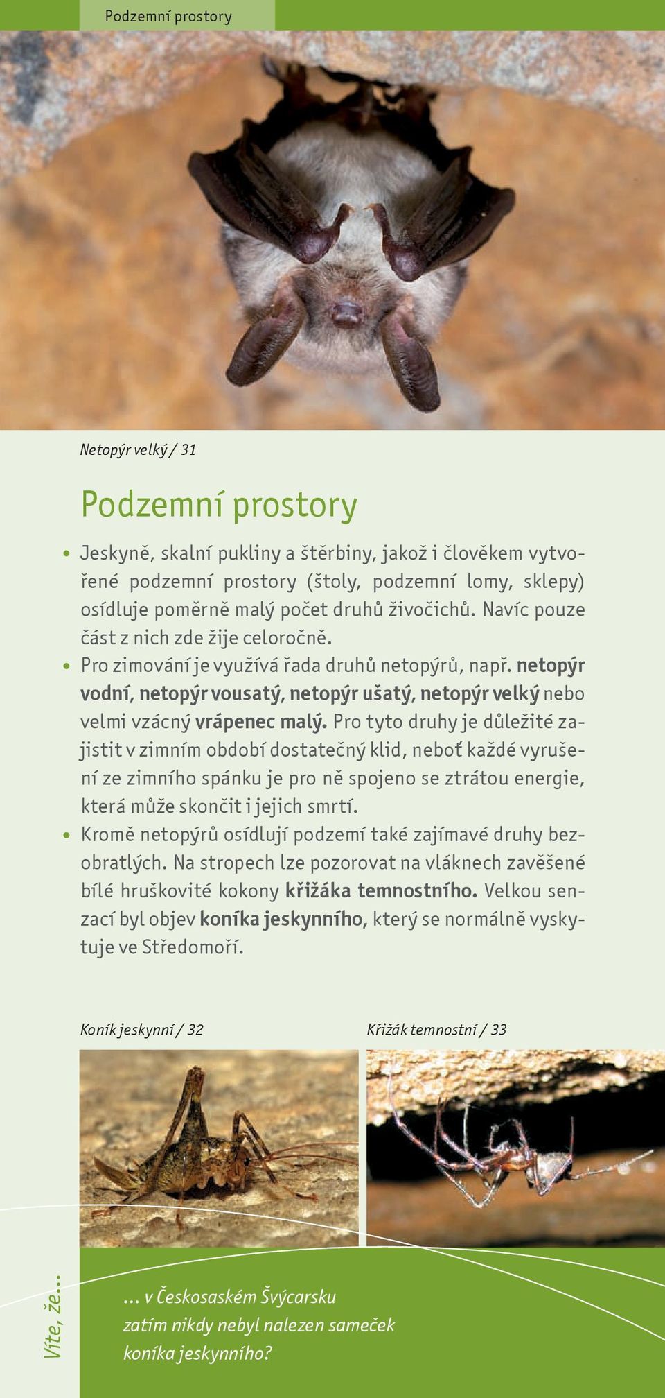 Pro tyto druhy je dùleité zajistit v zimním období dostateèný klid, nebo kadé vyrušení ze zimního spánku je pro nì spojeno se ztrátou energie, která mùe skonèit i jejich smrtí.