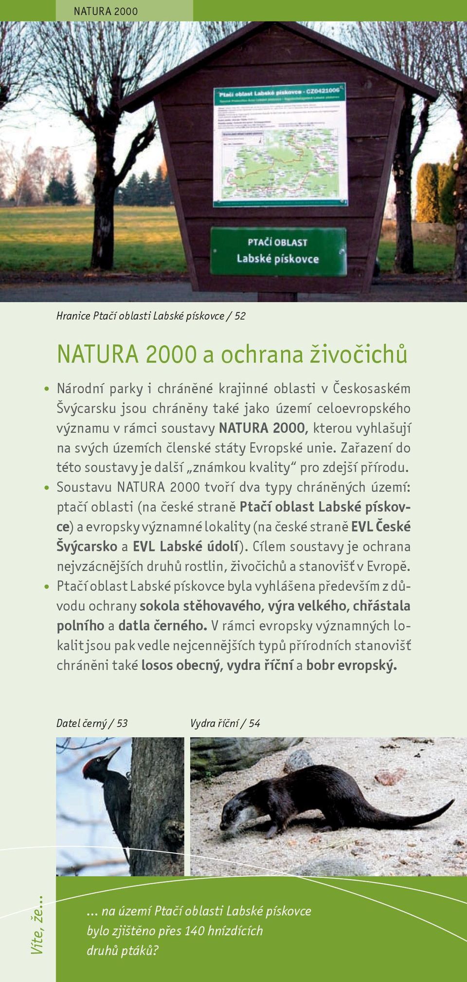 Soustavu NATURA 2000 tvoøí dva typy chránìných území: ptaèí oblasti (na èeské stranì Ptaèí oblast Labské pískovce) a evropsky významné lokality (na èeské stranì EVL Èeské Švýcarsko a EVL Labské