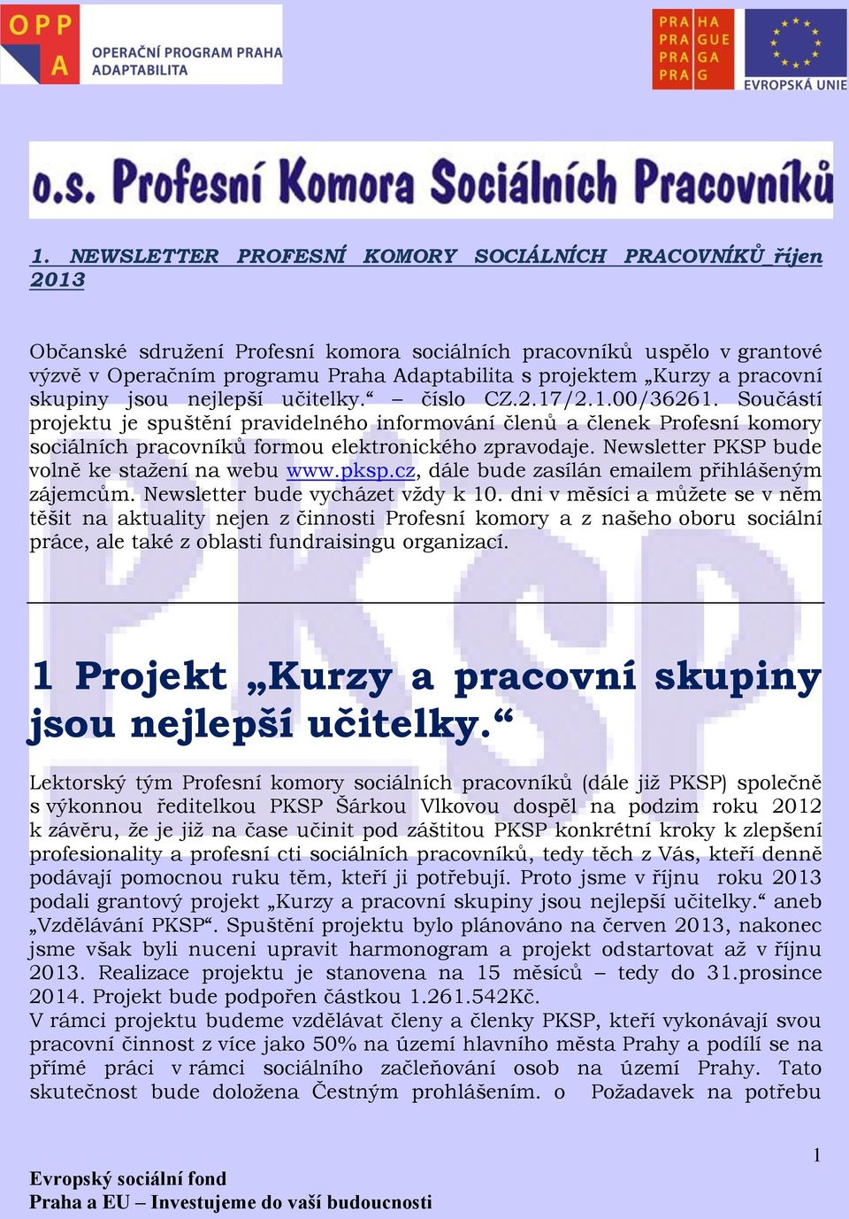 Součástí projektu je spuštění pravidelného informování členů a členek Profesní komory sociálních pracovníků formou elektronického zpravodaje. Newsletter PKSP bude volně ke stažení na webu www.pksp.