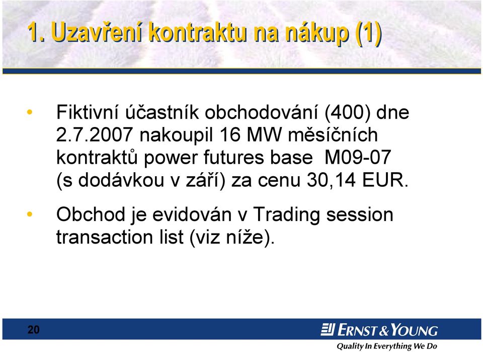 2007 nakoupil 16 MW měsíčních kontraktů power futures base