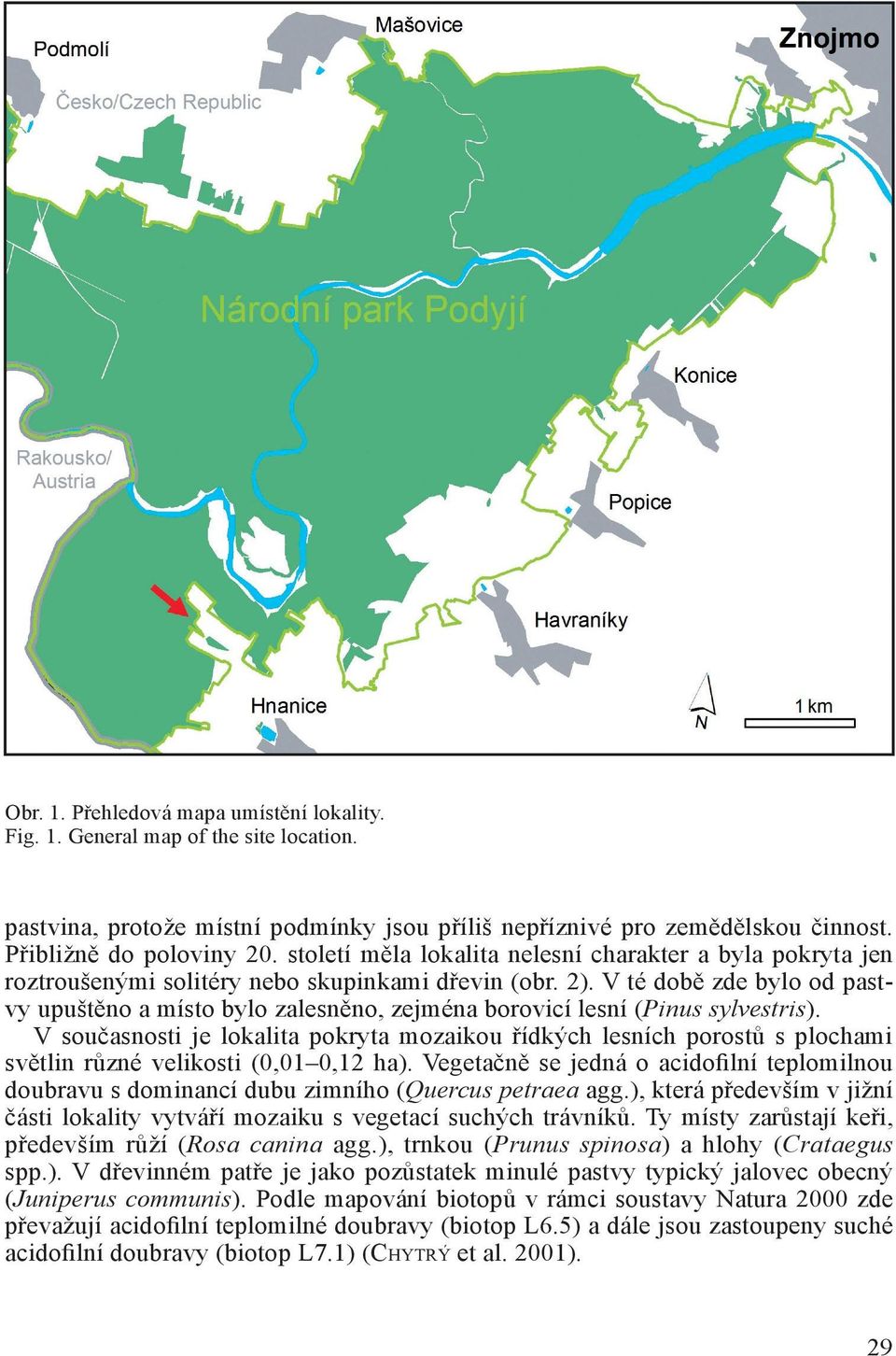 V té době zde bylo od pastvy upuštěno a místo bylo zalesněno, zejména borovicí lesní (Pinus sylvestris).