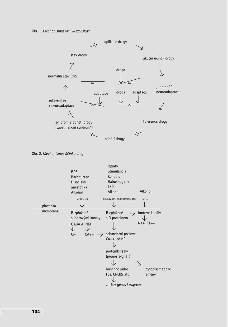 2: Mechanismus úãinku drog BDZ Barbituráty Disociální anestetika Alkohol GABA, Glu Opiáty Stimulancia Kanabis Halucinogeny LSD Alkohol opioidy, DA, anandamidy, atd.