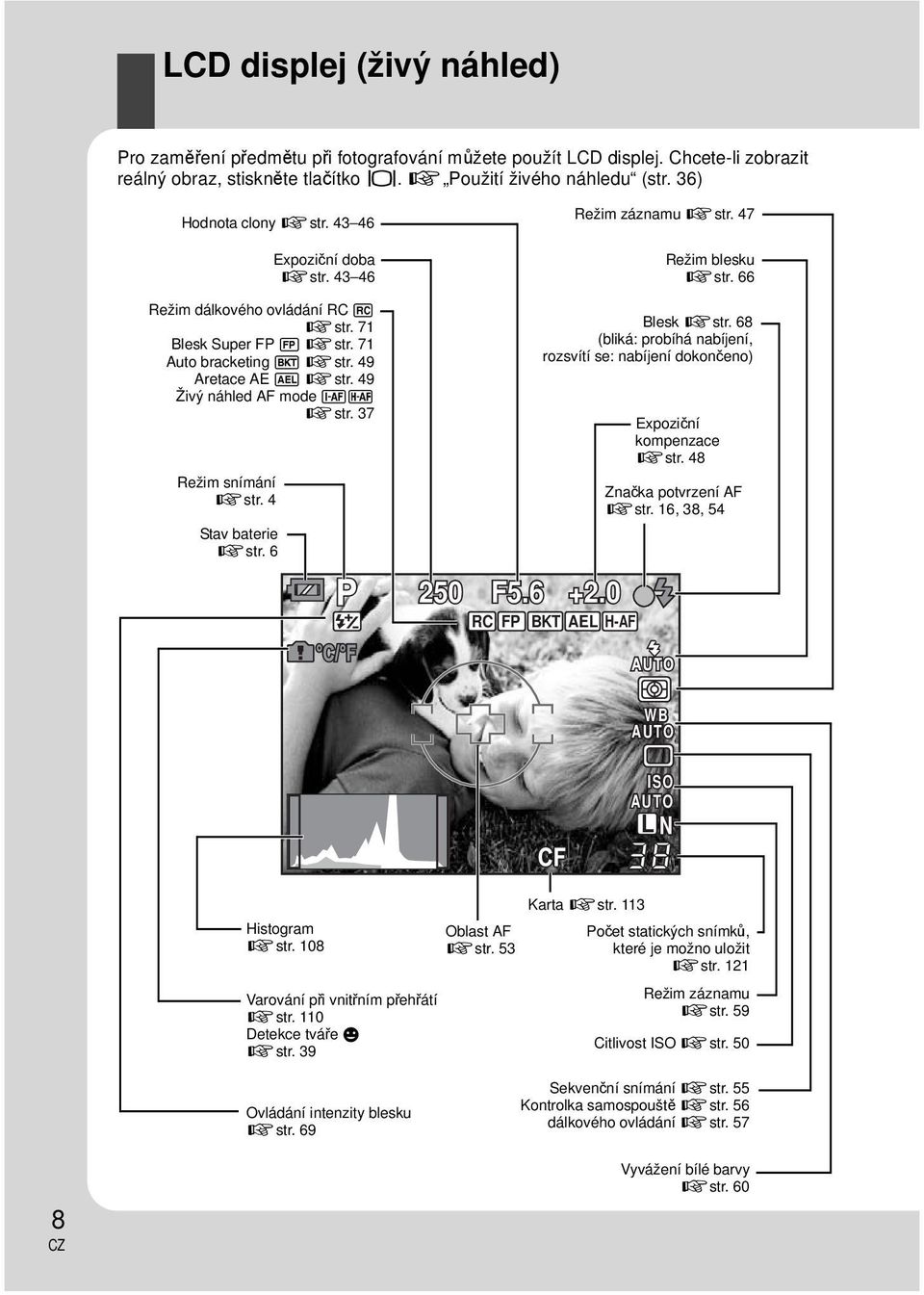 37 Režim snímání gstr. 4 Stav baterie gstr. 6 250 F5.6 +2.0 RC FP BKT AEL H-AF Režim záznamu gstr. 47 Režim blesku gstr. 66 Blesk gstr.