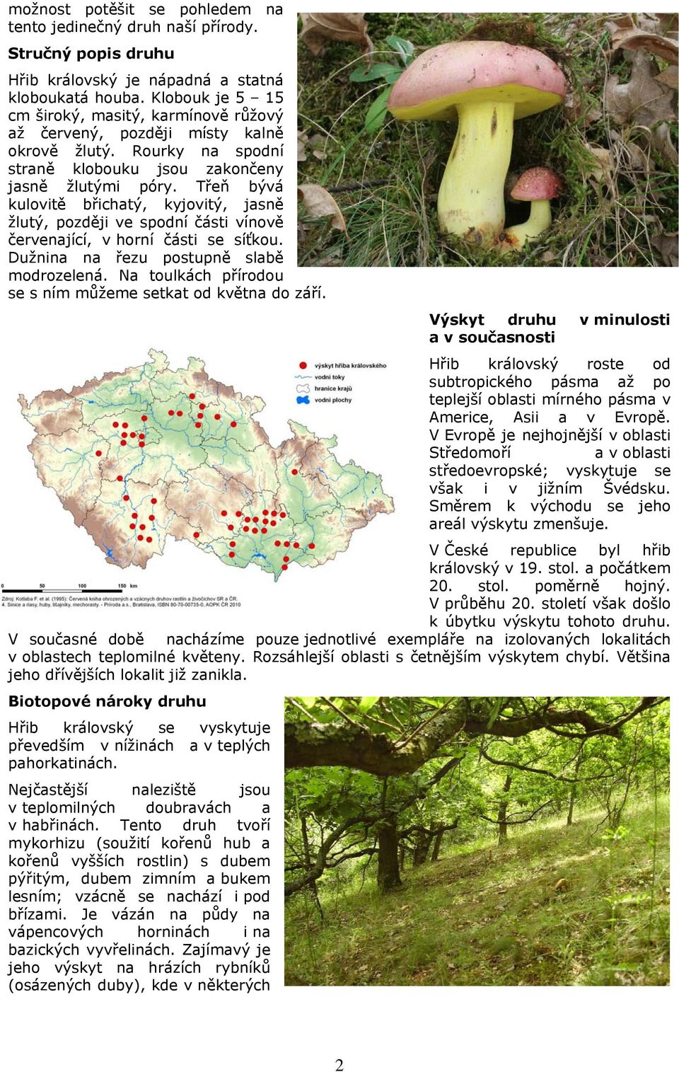 Třeň bývá kulovitě břichatý, kyjovitý, jasně žlutý, později ve spodní části vínově červenající, v horní části se síťkou. Dužnina na řezu postupně slabě modrozelená.