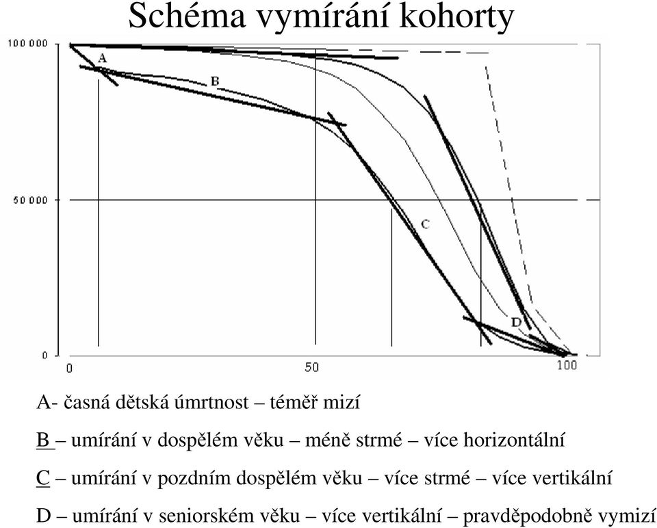 umírání v pozdním dospělém věku více strmé více vertikální