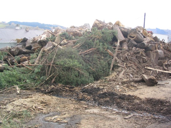 Využívanie biomasy v Hriňovej (Hriňovská energetická, s. r. o.