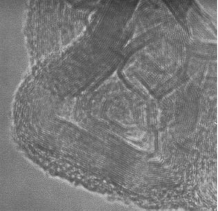 UTB ve Zlíně, Fakulta technologická 25 Obr. 8. SEM fotografie částice saze bez tepelného zpracování [33]. Pro získání elektricky vodivých sazí je ještě nutno provést jejich tepelné zpracování.