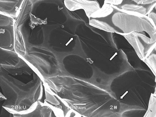 UTB ve Zlíně, Fakulta technologická 32 0,51 g.cm -3. Obě pěny mají obsah uhlíkových nanotrubiček 2 hm.%.