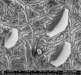 E P =5keV Obr. 23 Snímek mikrostruktury pořízený mikroskopem FEI Magellan400 s dopadovou energií 5 kev bez použití CL. Vlevo jednotlivé druhy precipitátů.