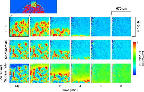 FTIR mapping + UV-viditelná spektroskopie Př. Sledování dezintegrace a disoluce tablety in situ.