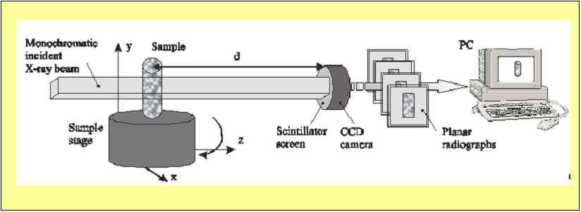 Schéma 2D snímky 3D rekonstrukce SYRMEP Beamline User guide