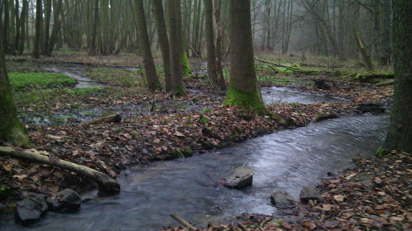 VĚDOU KE VZDĚLÁNÍ, VZDĚLÁNÍM K VĚDĚ Téma: PODZEMNÍ VODA 2.miniprojekt Masarykova ZŠ Lubenec, okres Louny STUDÁNKY Naše skupina: Jakub Hausner (9.tř.), Kamila Havířová (9.tř.), Marek Tolog (9.