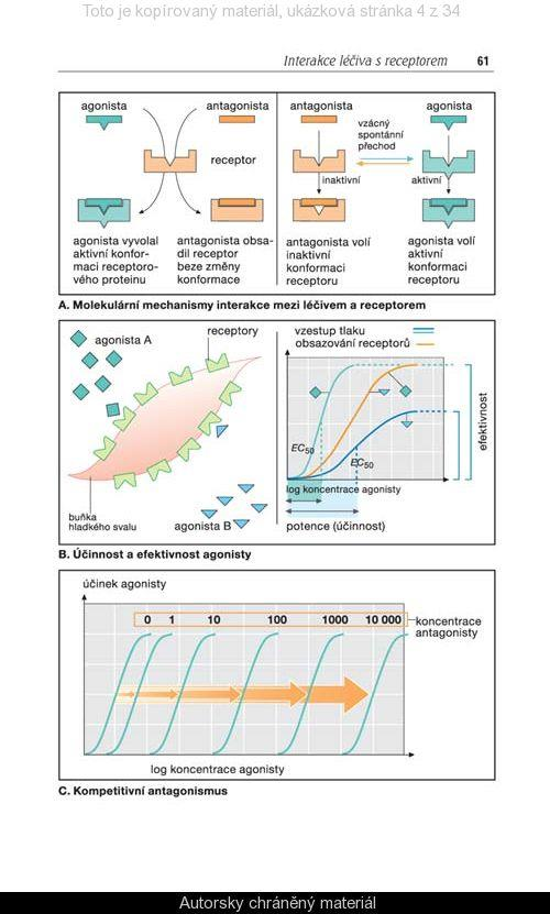 Interakce s receptorem Neurotransmiter se váže na konkrétní místo na receptoru a jako klíč zapadne do zámku.