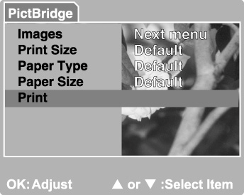3. Vyberte položku [Print Size] (Velikost tisku) a nastavte velikost snímku, který chcete vytisknout. Možnosti se mohou lišit podle typu použité tiskárny. Potvrďte stisknutím tlačítka OK. 4.
