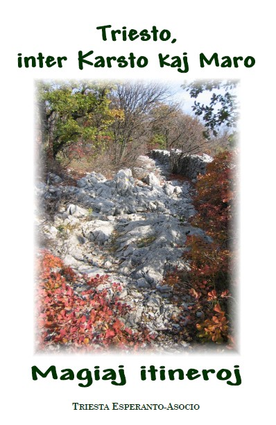 Fono de la nova eldonaĵo de KAVA-PECH En 2012 mi veturigis peraŭte amikojn Moisej (Mikaelo) Bronŝtejn kaj Gerrit Berveling, remonstrantan pastoron. Estis post la OSIEK-konferenco.