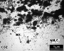 (hm. %) 0,2C-1,4Cr-1,0Mo-0,28V [3] a v oceli 0,1C-2,5Cr-0,4Mo-0,25V žíhané při 500 a 580 C po dobu 100, 1000 a 5000 h [28].