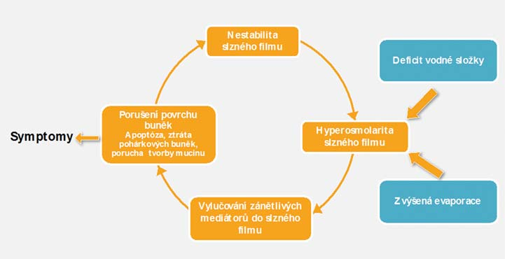 Obr. 1. Mechanizmus vzniku syndromu suchého oka (převzato z DEWS, Definition and classification of dry eye disease. Ocul Surface. 2007) disease).