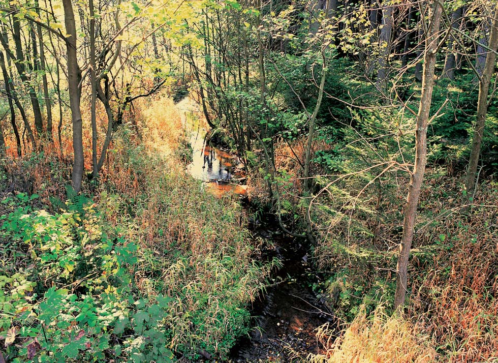 GEOLOGIE Horninové podloïí území je tvofieno biotitick mi a sillimaniticko-biotitick mi pararulami, místy migmatitick mi, které v jiïní ãásti pfiecházejí do cordieritick ch rul aï nebulitick ch