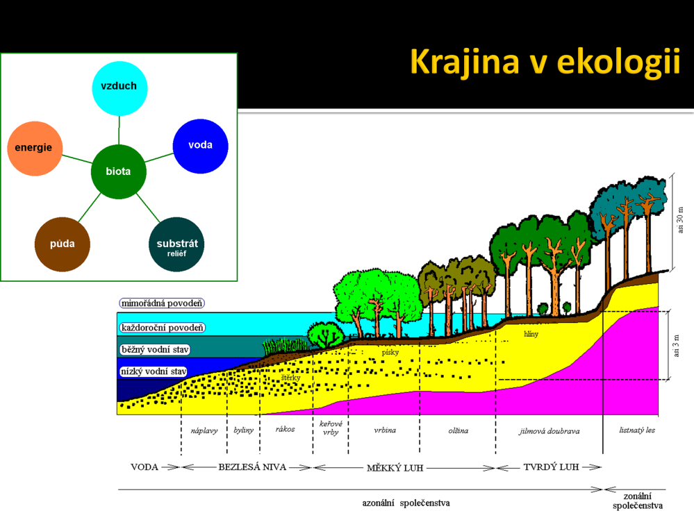 Ekologie krajiny se zabývá vzájemnými vztahy mezi člověkem a jím vytvořenou krajinou. Je vědeckou základnou pro krajinné plánování, management, ochranu, rozvoj a revitalizaci či stabilizaci krajiny.