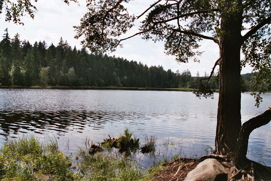 Závěrečná glosa Rybářství jako obor lidské činnosti je