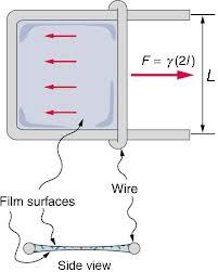 Povrchové napětí - vysvětlení Maxwellův pokus:pevný kovový rámeček, pohyblivé raménko na které působí síla F. Délka pohyblivého raménka je L.