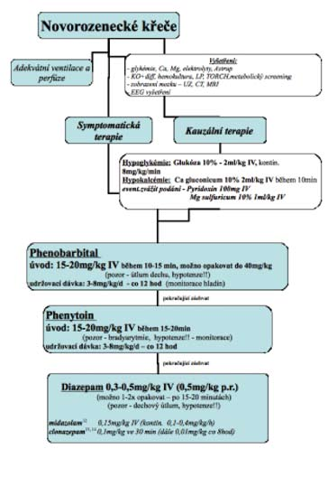 mezi 10 30 %, jeho pravděpodobnost roste s tíží abnormity neurologického a EEG nálezu.