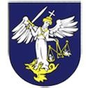 pochádza z roku 25, kedy sa nazýva Wywar, čiže Nový Hrad. V roku 228 sa tu spomína colná stanica na diaľkovej obchodnej ceste. Podľa ustanovenia Bélu IV. sa Holíč stal sídlom pohraničného komitátu.