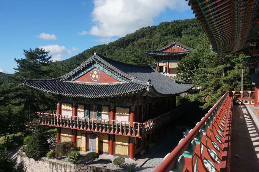 V předchozí kapitole jsme se dozvěděli, že buddhismus byl na území Koreje od 14. století potlačován. Na začátku 20. století ale zažíval nebývalý rozkvět. Byla to velká snaha o návrat k těmto tradicím.