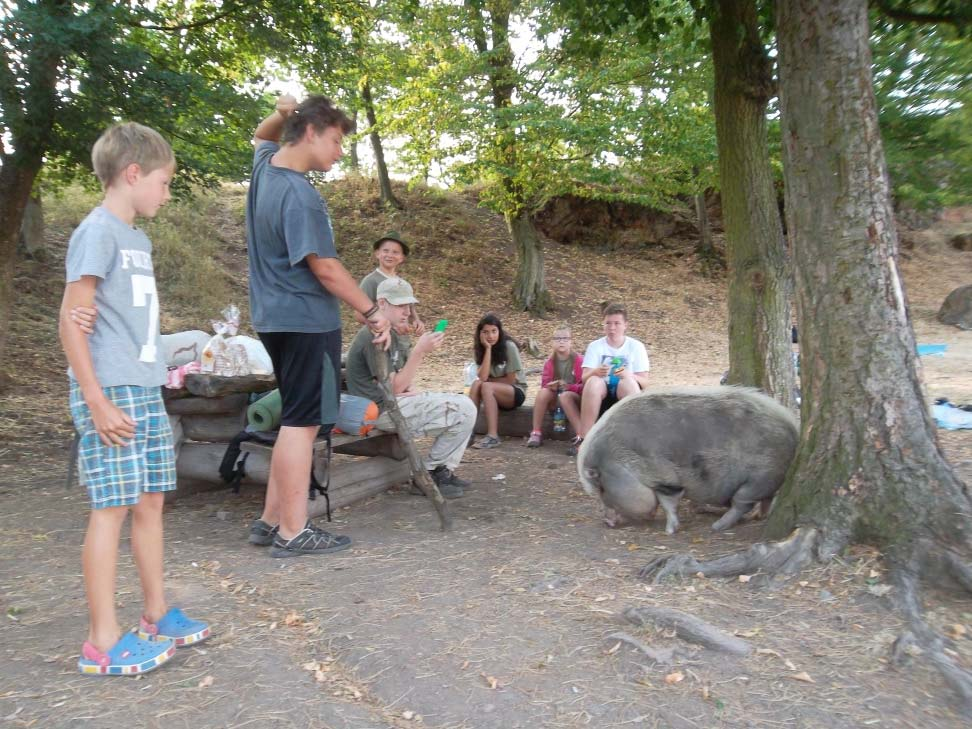 Ráno pod hradem snídat s námi přišla i