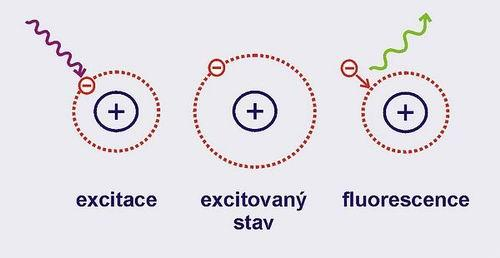 Jev fluorescence(9) Jev fluorescence je zaloţen na tom, ţe fotony, které tvoří světlo, nesou určitou energii, kterou mohou předat elektronům v různých molekulách.