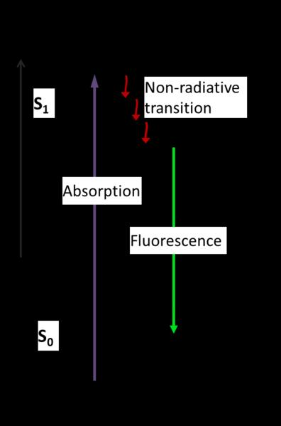 Fluorescence a fluorofory Fluorescence: jev při kterém dochází k absorpci fotonu a následně jeho emisi vyzářením Energie emitovaného fotonu se snižuje přechodem mezi energetickými hladinami