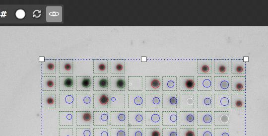 13.4.2 Ruční otáčení obrázků (Manual image rotation) Obrázky lze otáčet i ručně na obrazovce Zobrazení fotografii testu - View Array.