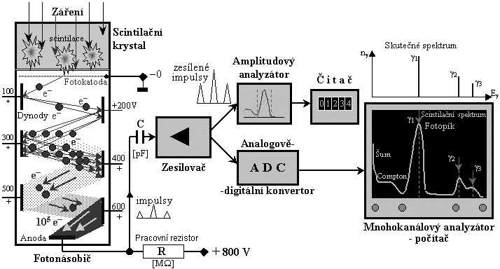 Obr. 2: Schéma scintilačního detekčního zařízení. V pravé části na obrazovce je typický tvar scintilačního spektra záření gama - ve srovnání se skutečným čárovým spektrem emitovaným radionuklidem.
