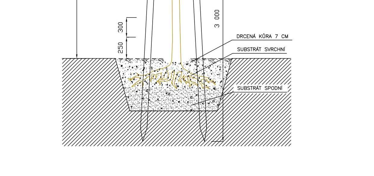 Vzorový řez výsadby stromu B.4 NÁSLEDNÁ PÉČE Pro zdárný růst rostlin je důležitá následná péče alespoň 3 roky po založení spočívající především v pravidelné dostatečné zálivce.