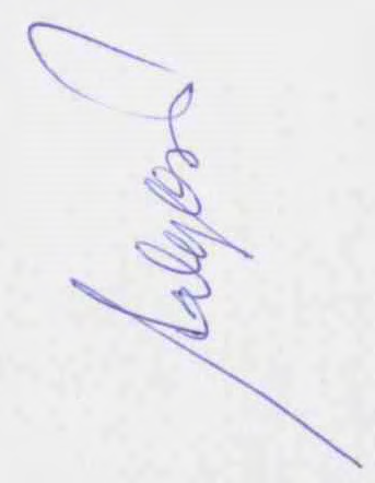 Lic : MEKP G O R O I C s o f t w a r e - U C R Strana : * k 1,. + * * l ;\.' 4... '*" ~ol,~ Ir++-' +*,I, ". * ~ ~ W *i O lir- j.o ol> -.1" 4 '1\ '~o Ir J,:~ -~.1- + ""+ ~.