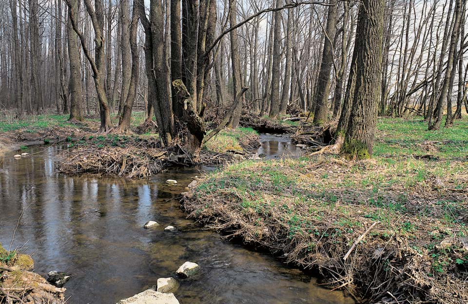 Pfiírodní park Pfiírodní park Tfiem ín Vyhlá en v roce 997 Okresním úfiadem Pfiíbram na rozloze 296 ha.