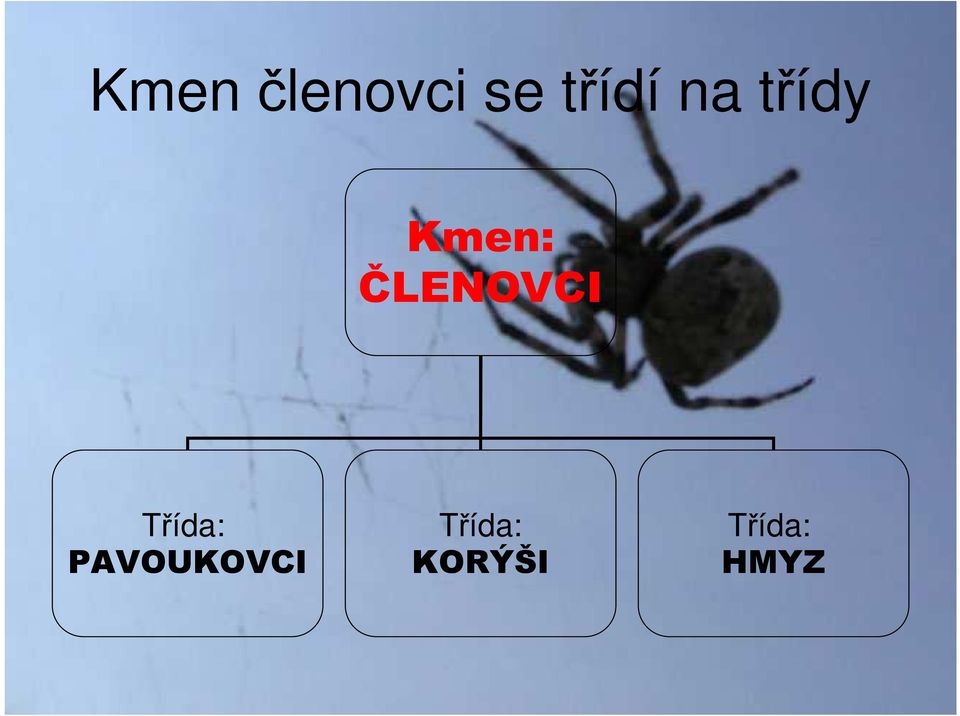 ČLENOVCI Třída: