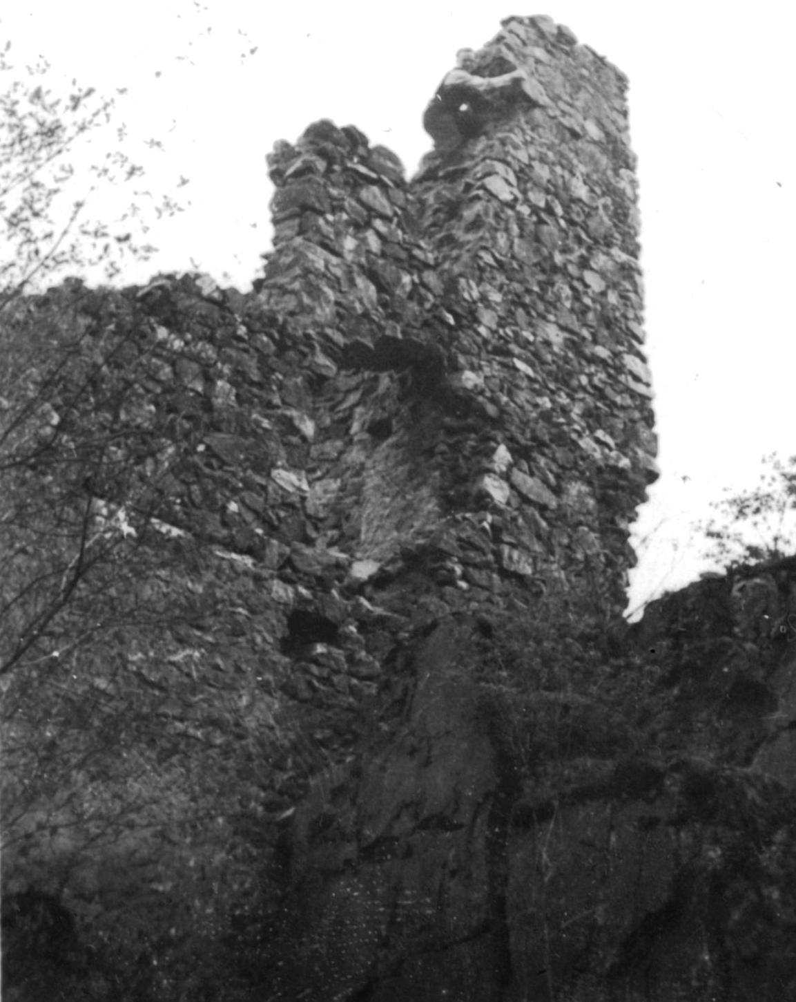 Hrad Skála, hrnek z první vrstvy (13. století). zakladatele pány z Rýzmberka. Problém však pedstavuje dispozice hradu v jeho poátení fázi.