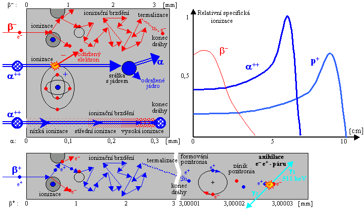 dolet záření: R [cm]= E max[ MeV ] 2 [ g /cm 3 ] 2 MeV 8