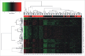 DEREGULATION OF GENES Placenta Change: 1170 genes 669 501 CB Increased expression in CB: genes related to metabolism of