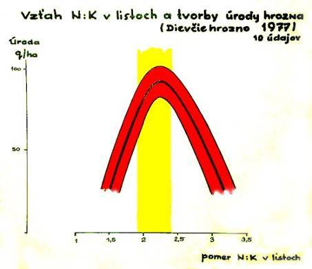 Pomer N/K v listoch - vplyv na tvorbu úrody - pri