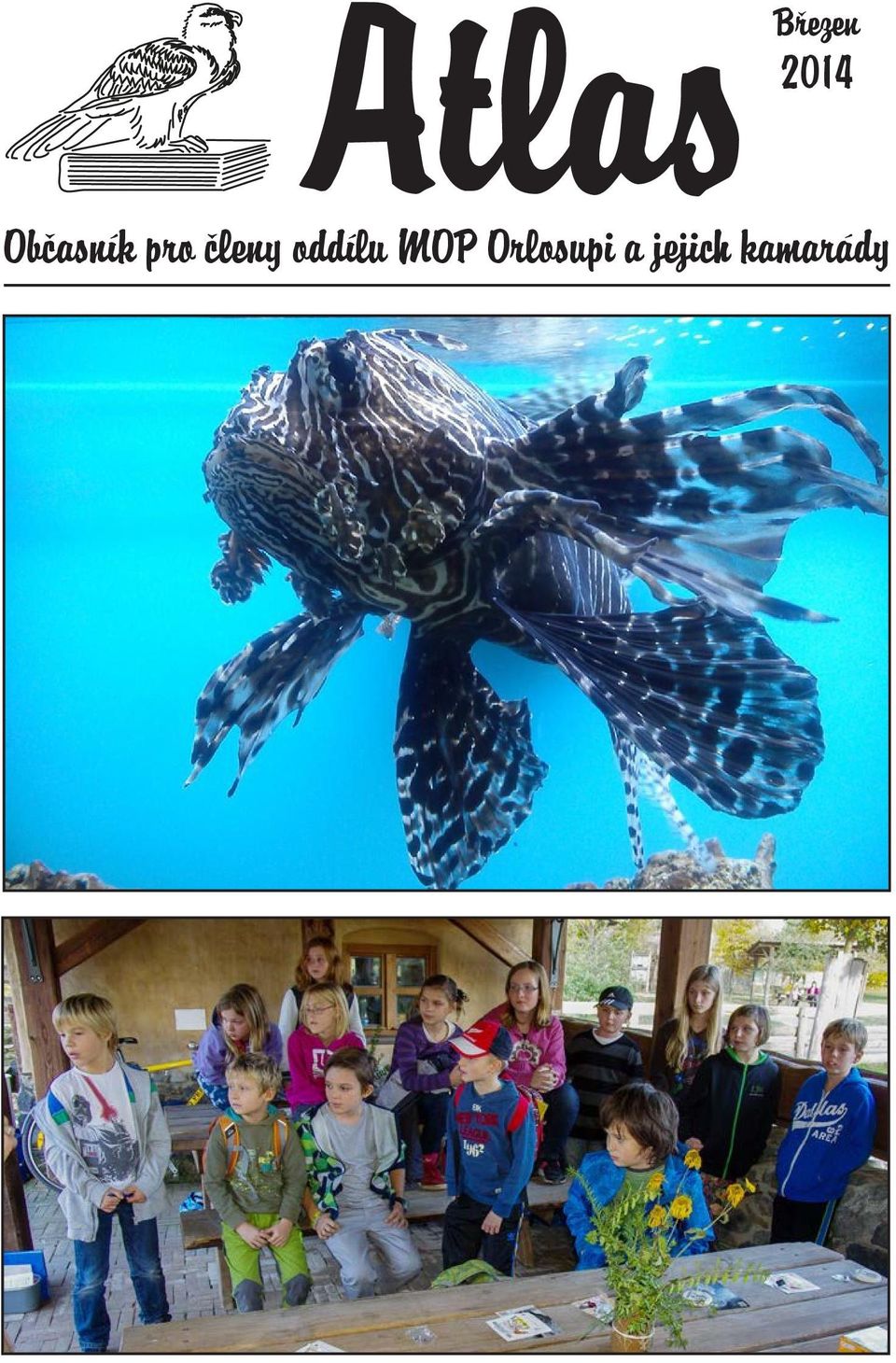 oddílu MOP