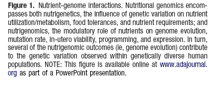 Interakce živin a genomu Stover PJ and Caudill MA J Am Diet Assoc 2008 Nutrigenetika vliv genetických variant na požadavek, utilizaci, toleranci a metabolismus živin vs.