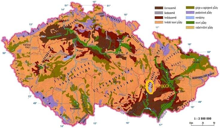 Na devonských vápencích a na vápnitých křídových sedimentech se vytvořil druh půd nazývaný vápenatky.