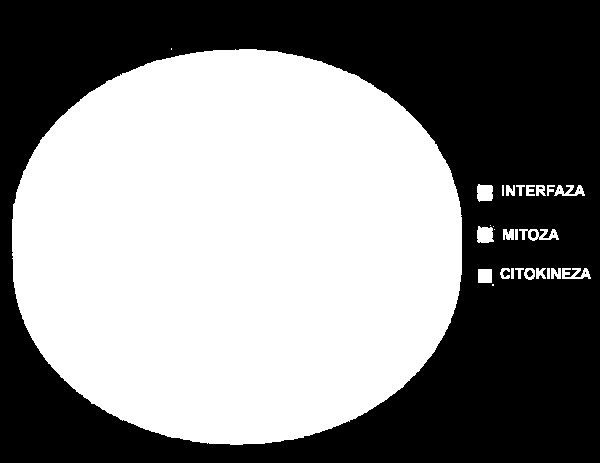 http://www.biologija.rs/cellcycle.